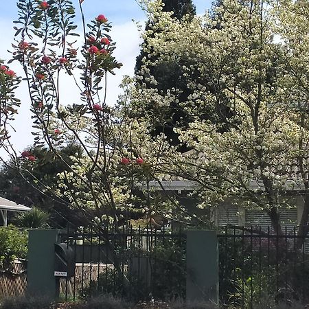 לינה וארוחת בוקר Amberly House רוטורואה מראה חיצוני תמונה